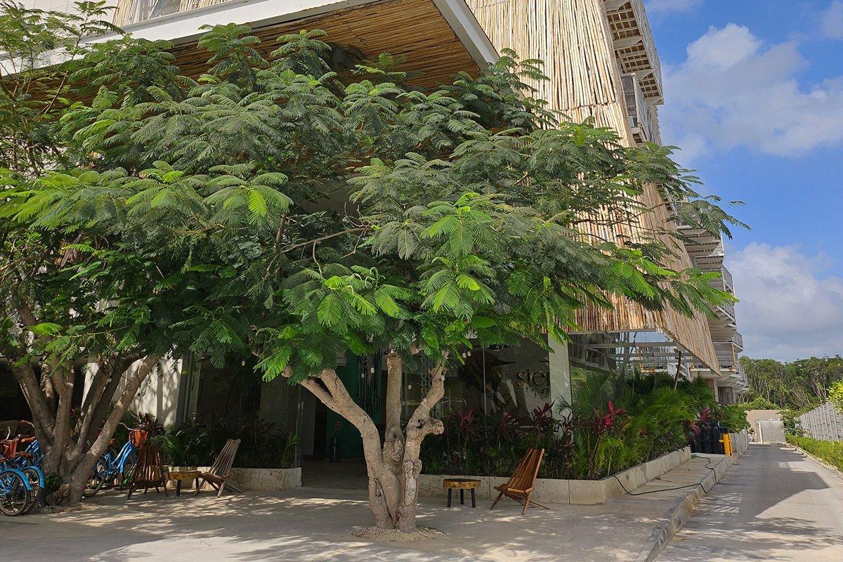 Siente Tulum Exterior foto